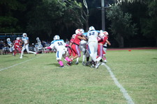 Enlarge photo 256