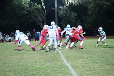 Enlarge photo 257