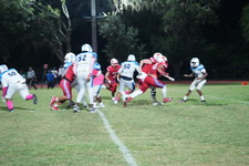 Enlarge photo 259