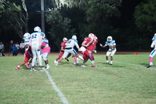 Enlarge photo 260