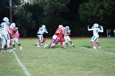 Enlarge photo 262