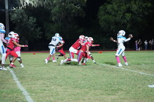 Enlarge photo 264