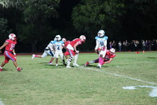 Enlarge photo 267