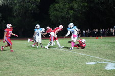 Enlarge photo 268