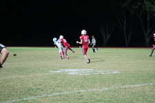 Enlarge photo 270