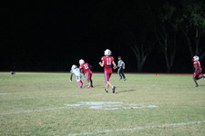 Enlarge photo 271