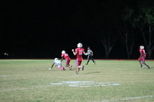Enlarge photo 272