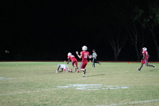 Enlarge photo 273