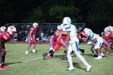 Enlarge photo 282