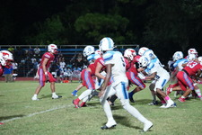 Enlarge photo 283