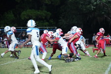 Enlarge photo 286