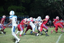Enlarge photo 287