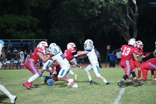 Enlarge photo 290