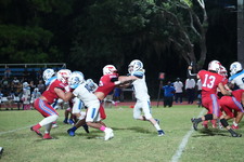 Enlarge photo 291