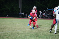 Enlarge photo 305