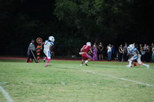 Enlarge photo 388