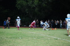 Enlarge photo 389