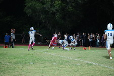 Enlarge photo 390