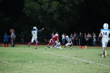 Enlarge photo 391