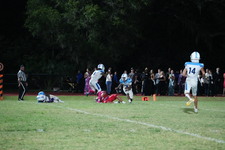 Enlarge photo 398