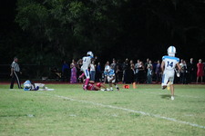 Enlarge photo 397