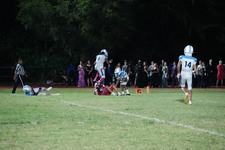 Enlarge photo 399