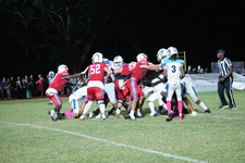 Enlarge photo 435