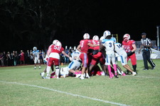 Enlarge photo 441