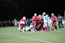 Enlarge photo 442