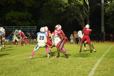 Enlarge photo 729