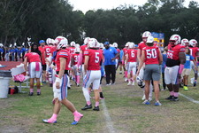 Enlarge photo 51