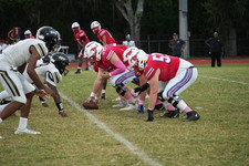 Enlarge photo 64
