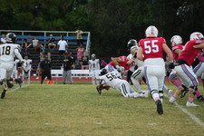 Enlarge photo 71
