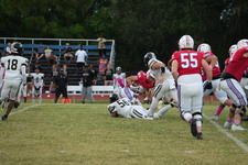 Enlarge photo 72