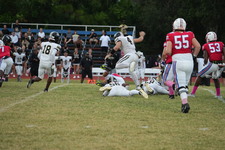 Enlarge photo 77