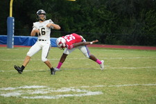 Enlarge photo 124