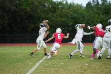 Enlarge photo 130