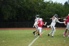 Enlarge photo 131