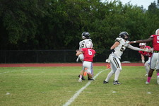 Enlarge photo 132