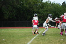 Enlarge photo 134