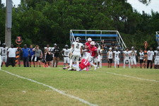 Enlarge photo 137