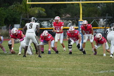 Enlarge photo 156