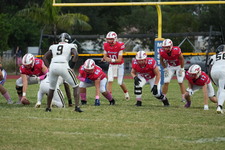 Enlarge photo 158