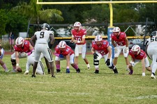 Enlarge photo 157