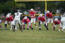 Enlarge photo 160