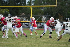 Enlarge photo 161