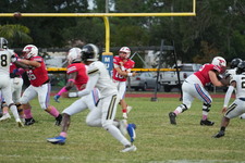 Enlarge photo 166