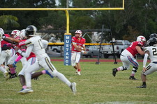 Enlarge photo 169