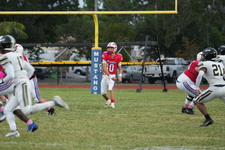 Enlarge photo 168