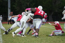 Enlarge photo 196